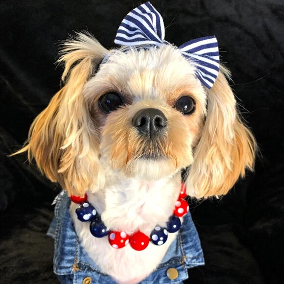 Spot On the 4th (13") - Pet Necklace - Pet Accessories - Picture 1 of 3